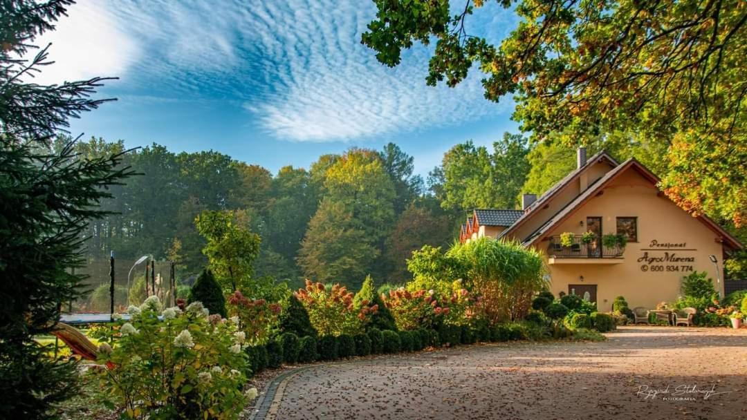 Agromurena Gryfów Śląski Esterno foto
