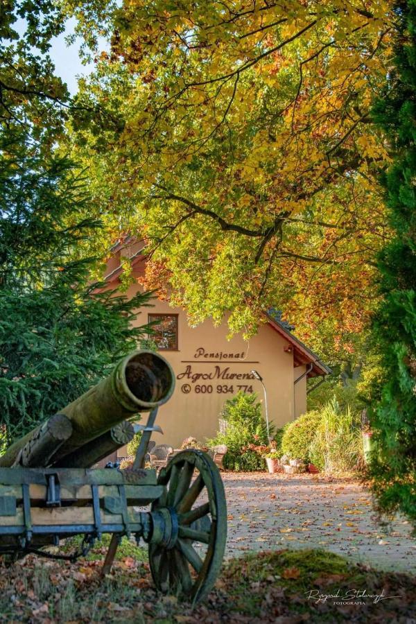 Agromurena Gryfów Śląski Esterno foto