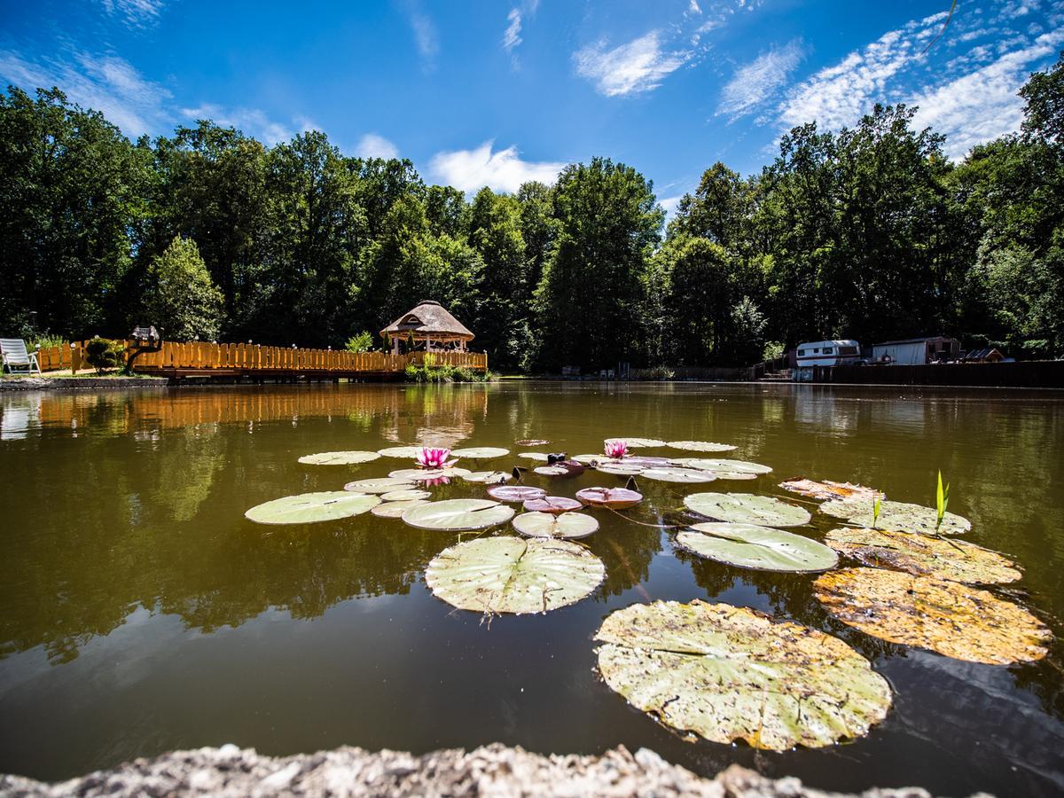 Agromurena Gryfów Śląski Esterno foto